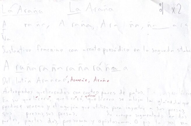 La Araña
