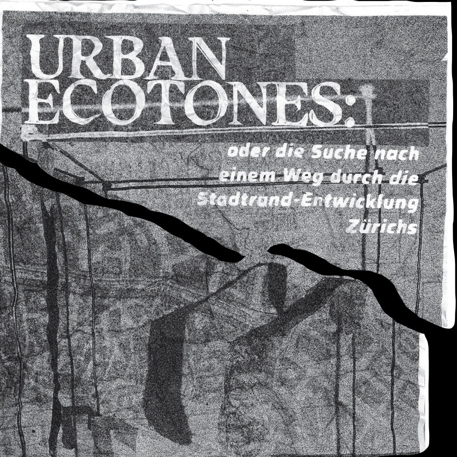 Urban ecotones