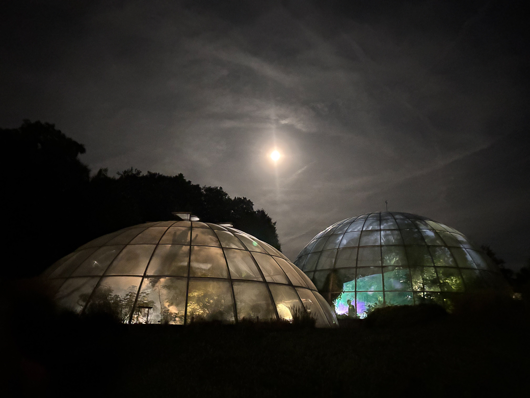 Urban ecotones – Botanical Garden (2025)